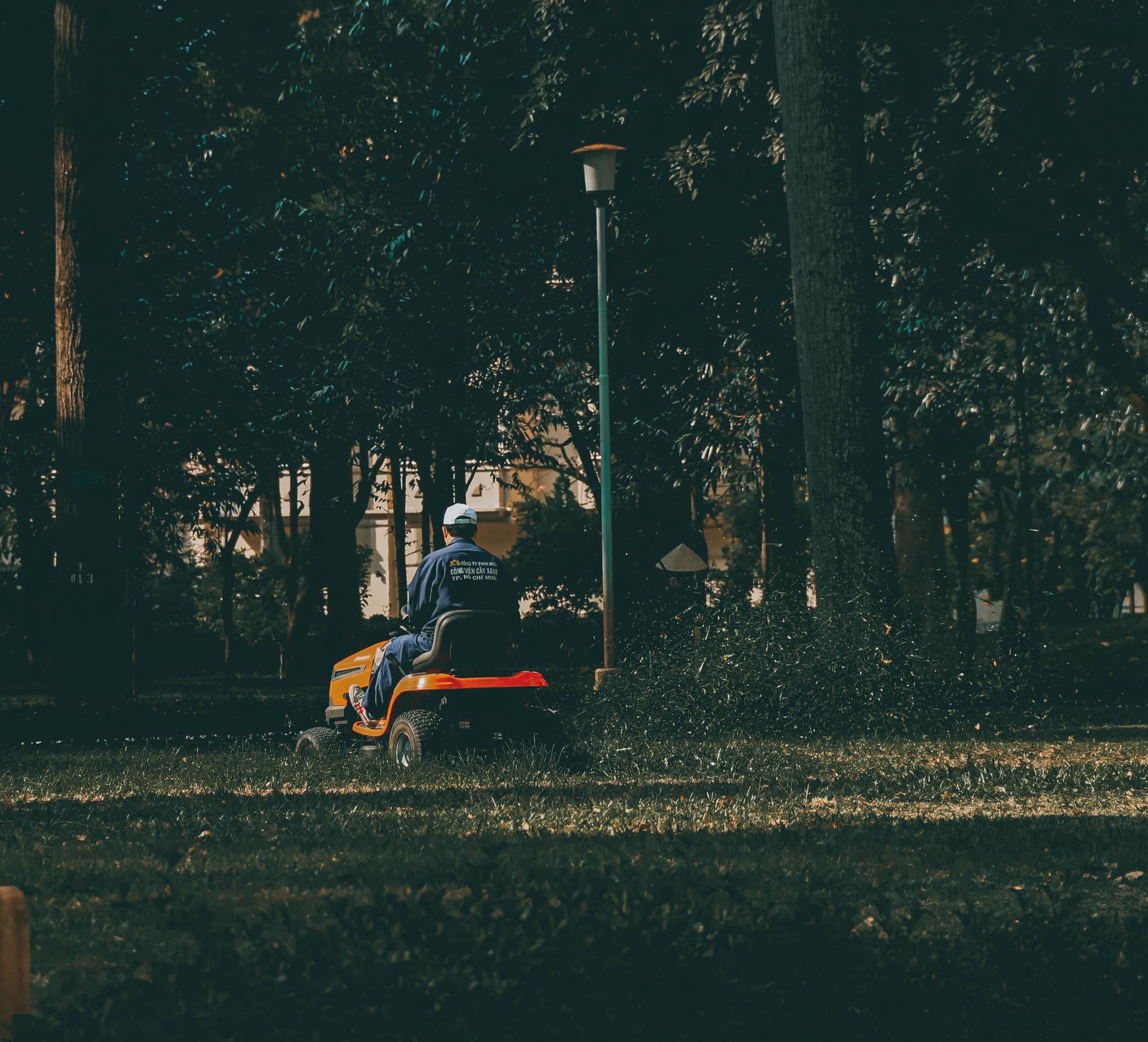 Landscaper mowing a park lawn on a ride-on mower under mature trees